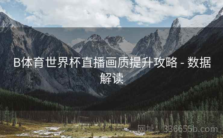 B体育世界杯直播画质提升攻略 - 数据解读