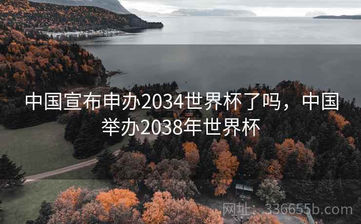 中国宣布申办2034世界杯了吗，中国举办2038年世界杯  第1张