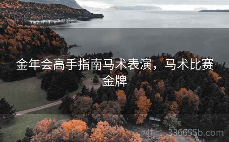 金年会高手指南马术表演，马术比赛金牌  第1张