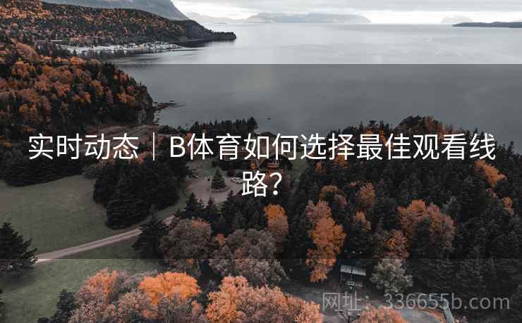 实时动态｜B体育如何选择最佳观看线路？  第1张