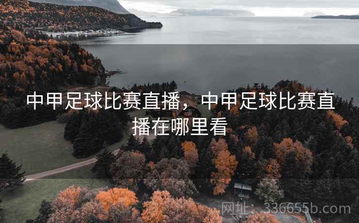 中甲足球比赛直播，中甲足球比赛直播在哪里看  第1张