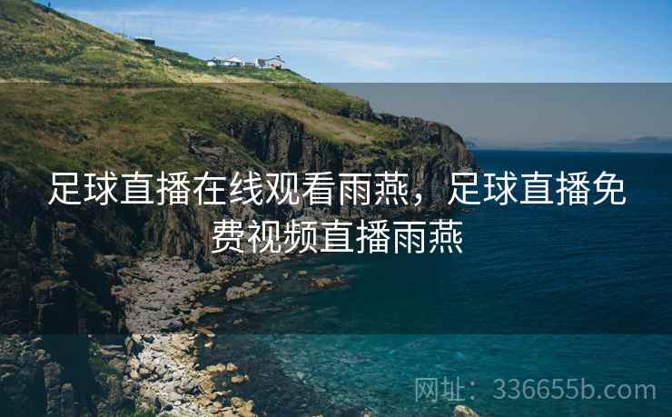 足球直播在线观看雨燕，足球直播免费视频直播雨燕