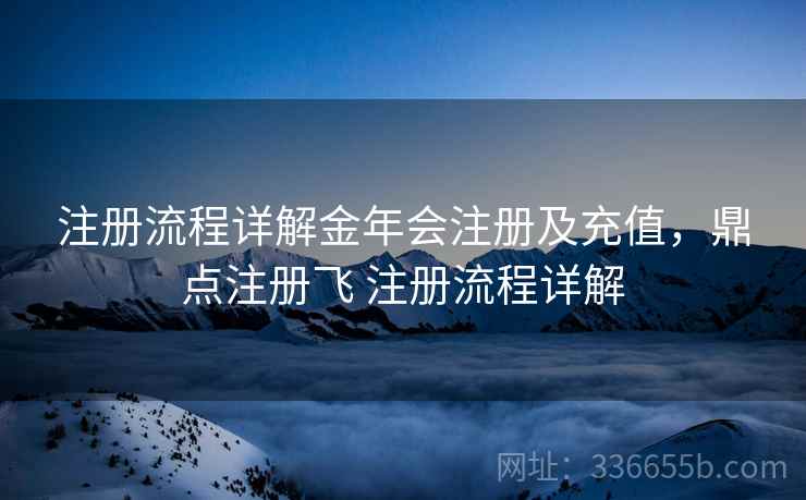 注册流程详解金年会注册及充值，鼎点注册飞 注册流程详解  第1张