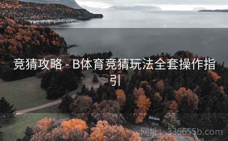 竞猜攻略 - B体育竞猜玩法全套操作指引  第2张