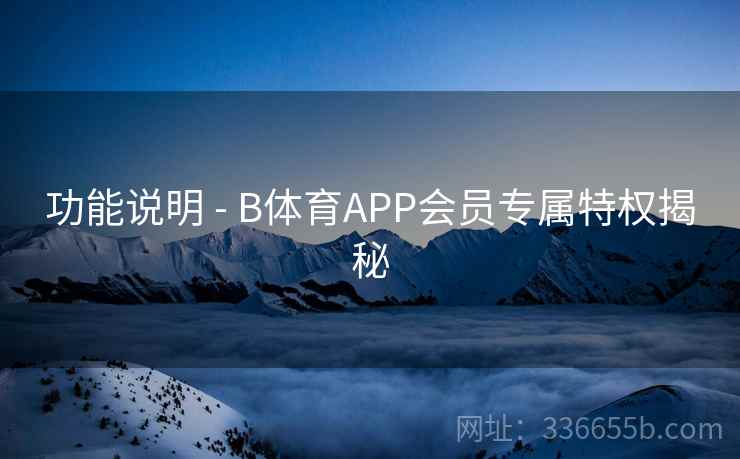 功能说明 - B体育APP会员专属特权揭秘