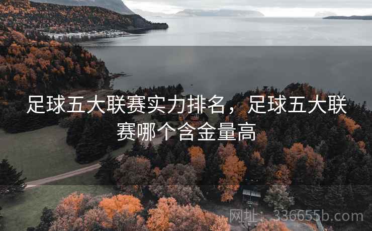 足球五大联赛实力排名，足球五大联赛哪个含金量高  第2张