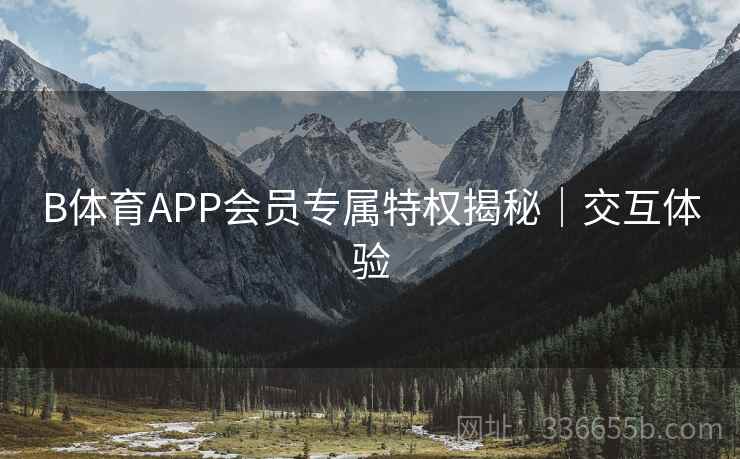 B体育APP会员专属特权揭秘｜交互体验
