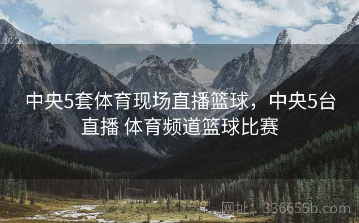 中央5套体育现场直播篮球，中央5台直播 体育频道篮球比赛