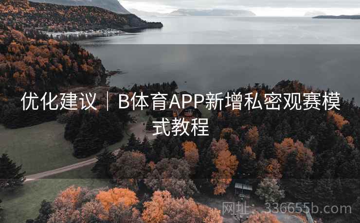 优化建议｜B体育APP新增私密观赛模式教程  第2张